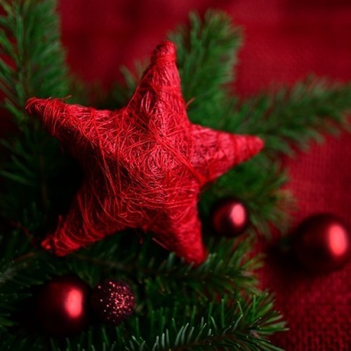 Frohe Weihnachten und eine besinnliche Vorweihnachtszeit!
