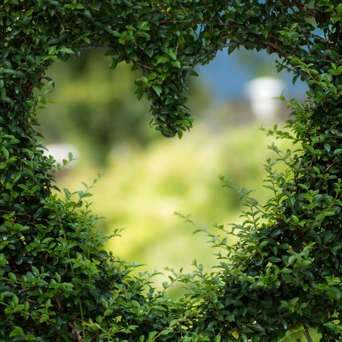 Das war unser Sommerfest 2026 ☀️🌿