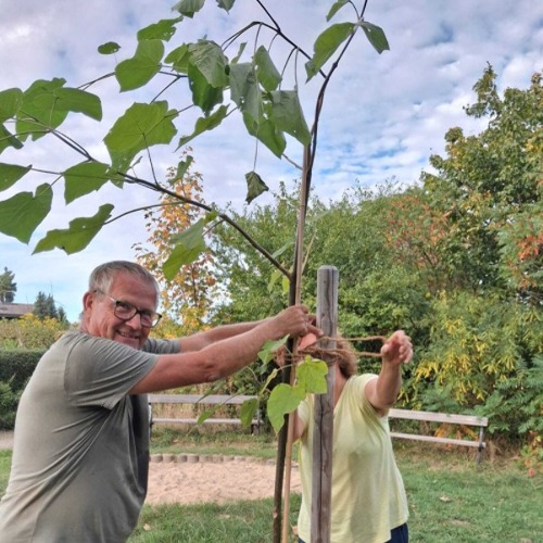 Ein neuer Baum f&uuml;r unseren Spielplatz