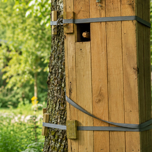 Pilotaktion für mehr Artenvielfalt: Insektenboxen für unsere Kleingartenanlage
