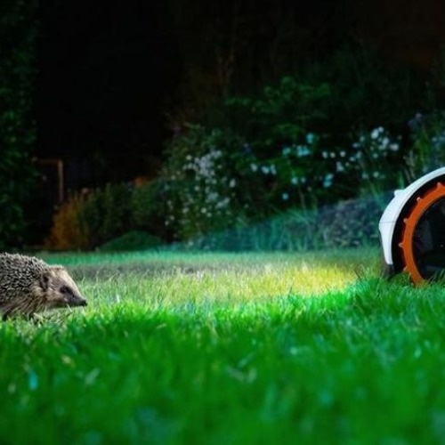 Aktueller Hinweis zum M&auml;hroboter-Einsatz: Bitte sch&uuml;tzt unsere Igel!