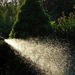 Auswertung der Wassertestung für Brauchwasser