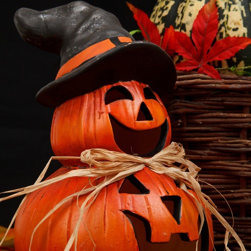 HERBSTFEST der FORTUNA Siedlung