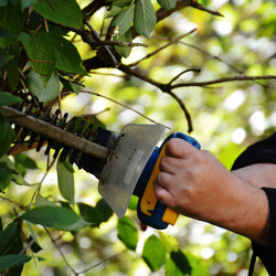 Arbeitseinsatz "Herbstputz"
