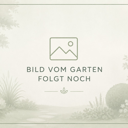Garten 28 Nordanlage