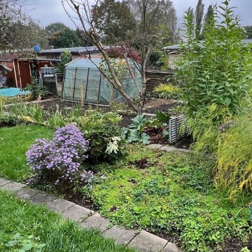 Garten 139